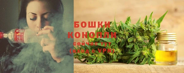 твердый Богданович