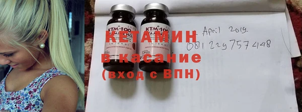 шишки Богородицк