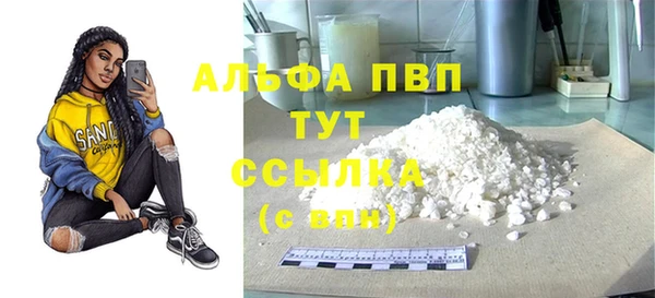 твердый Богданович