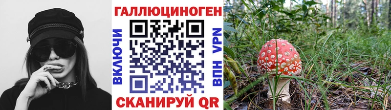 маркетплейс какой сайт  Сретенск  Галлюциногенные грибы ЛСД 